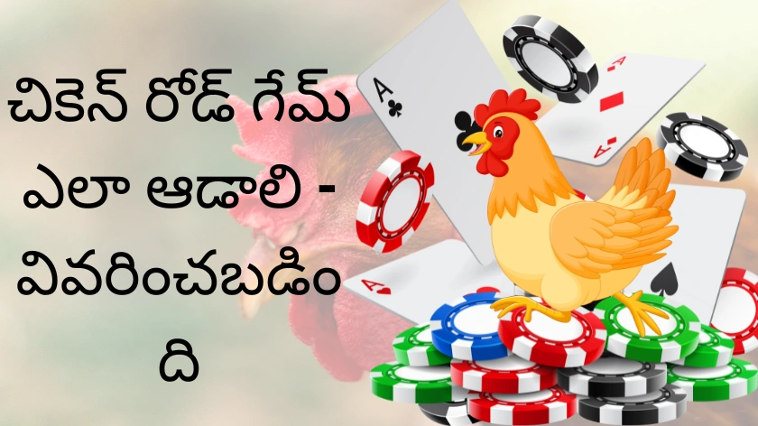 చికెన్ రోడ్ గేమ్ ఎలా ఆడాలి– వివరించబడింది